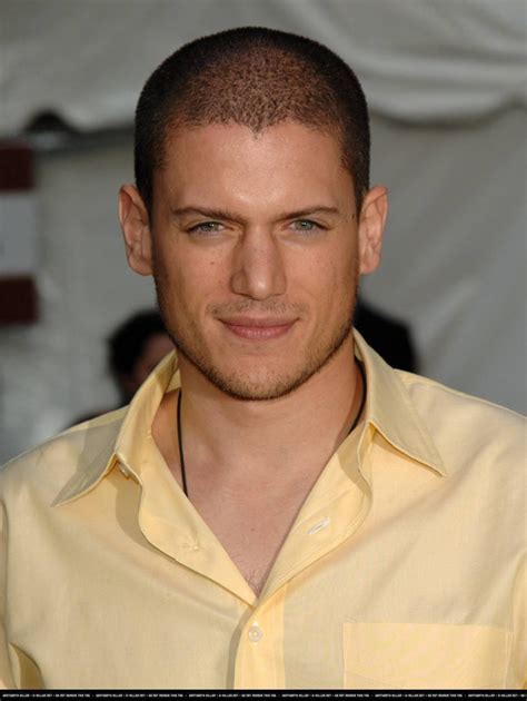 Wentworth Miller Vermögen